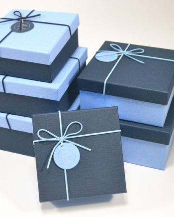 Band-Schließungs-faltender Geschenkbox-weiße glatte Einlegesohlen-Verpackenkasten für Frauen