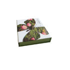 Farbenreiches Druckbuch-geformter Kasten 160 * 121 * 25mm mit umweltfreundlichem Material  fournisseur